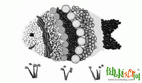 ���غ��˳��ԈԹ��������ʳ��