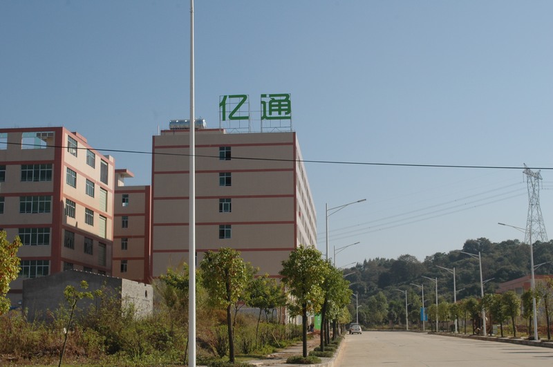 �V���߲�����