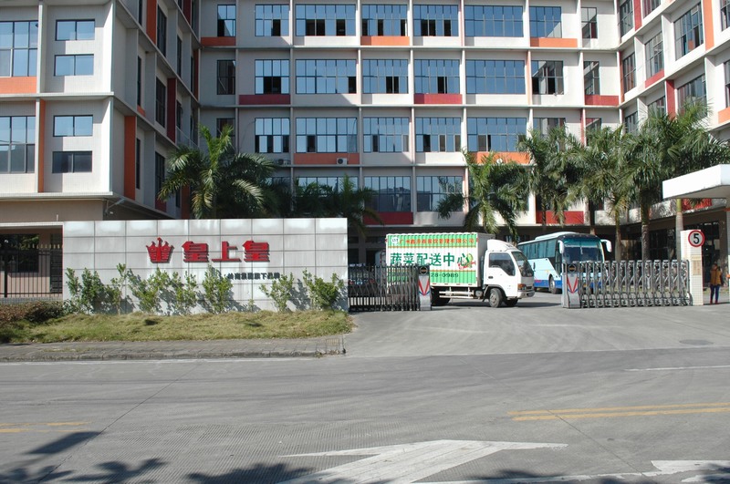 �V���߲�����