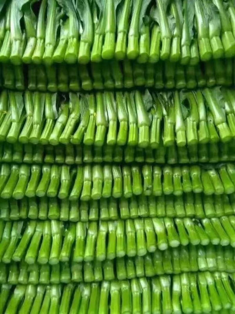 ���c���D