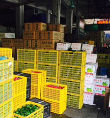 �V���߲����� ���ĈDƬ